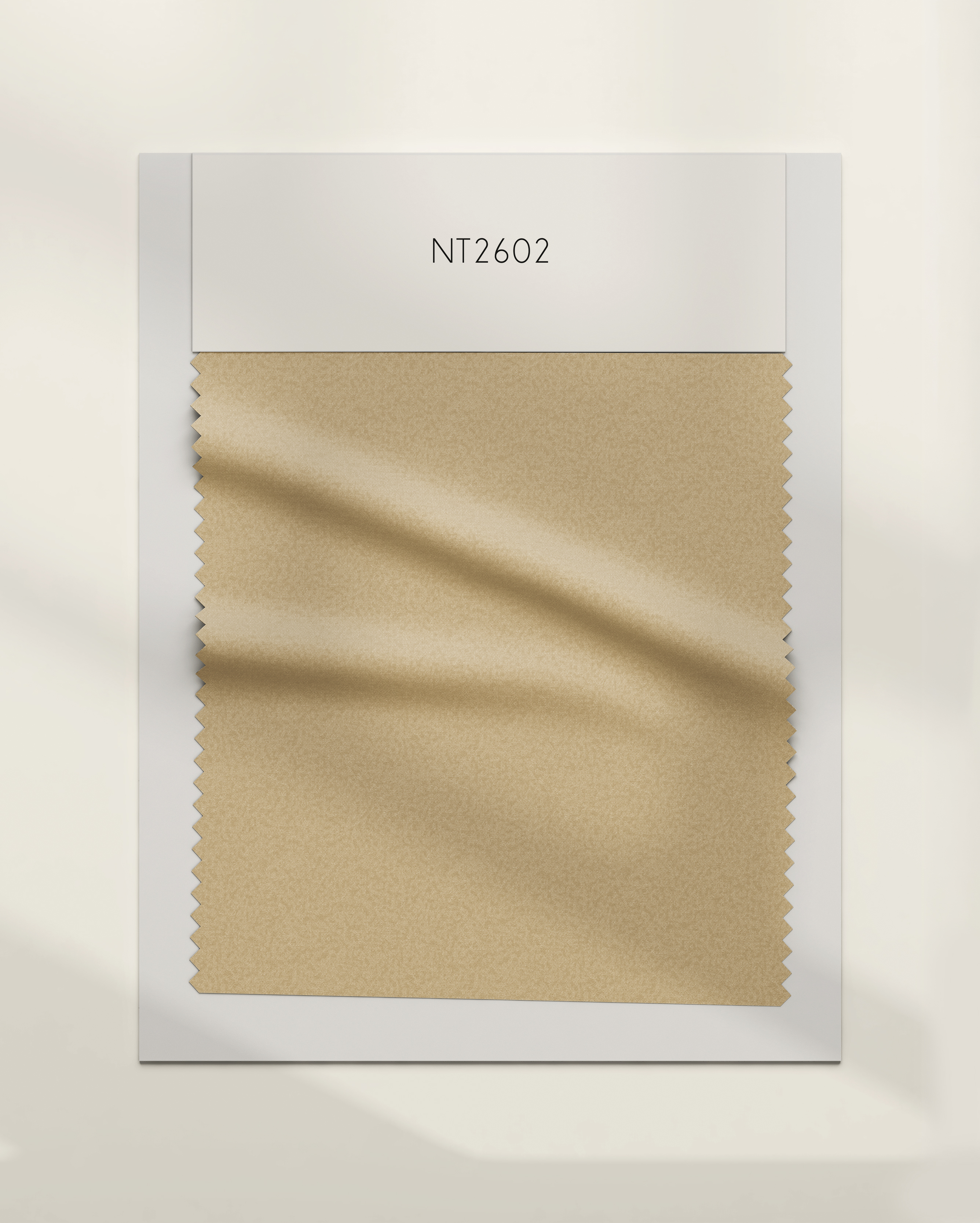 NT2602
