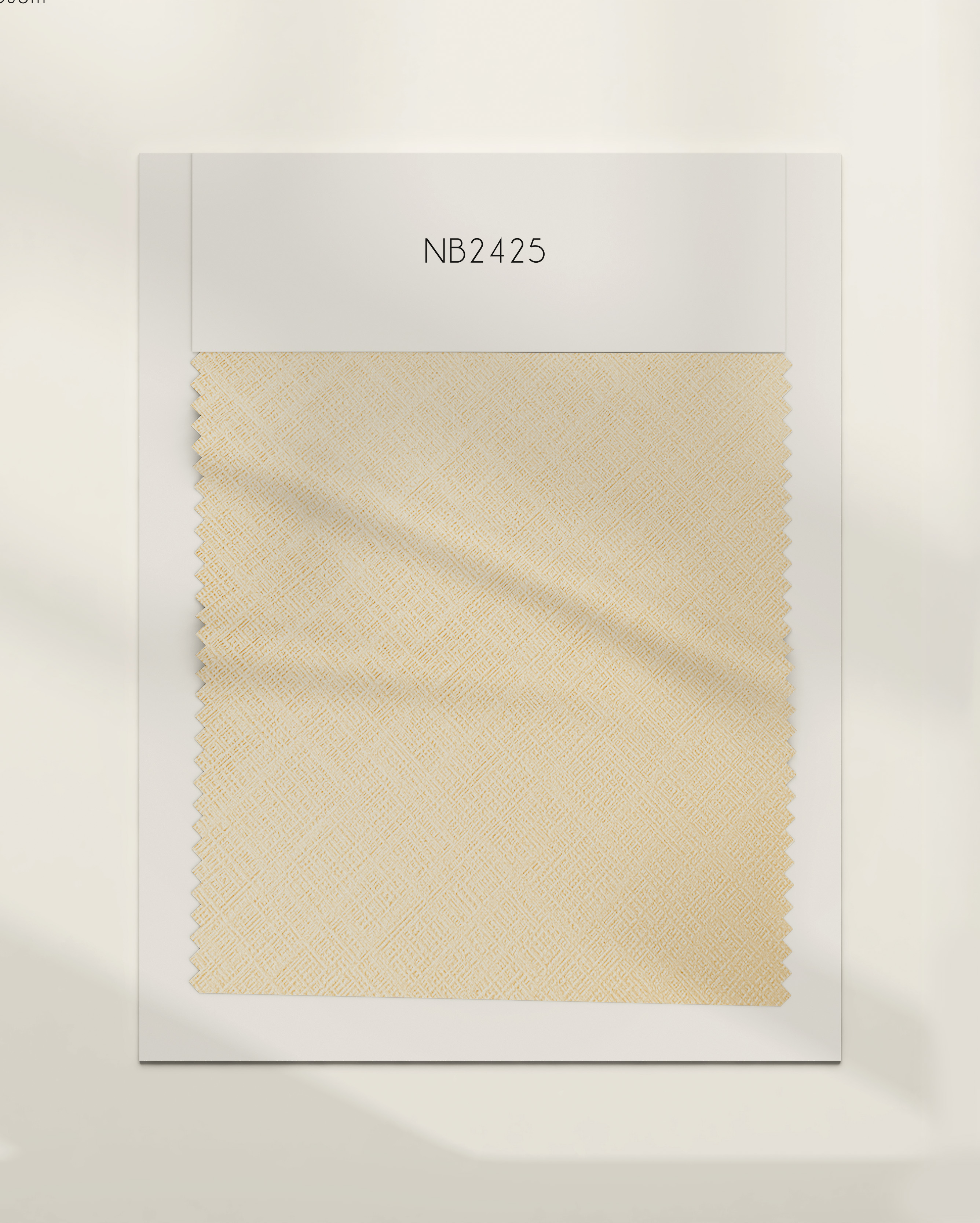 NB2425