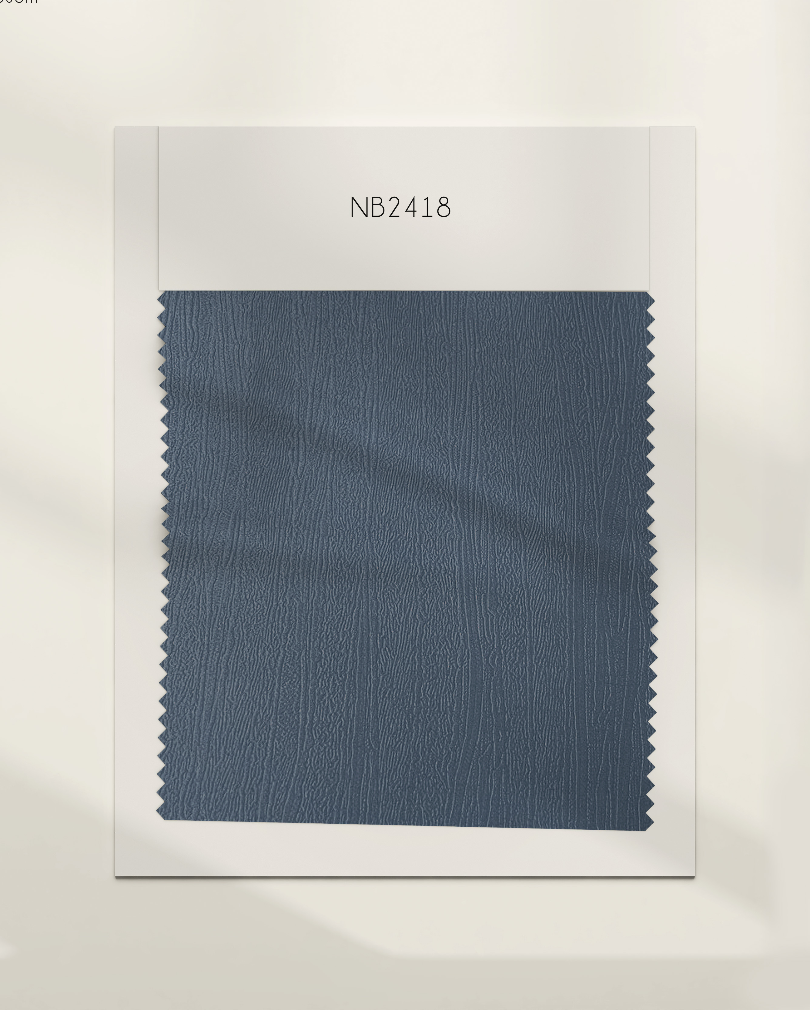 NB2418