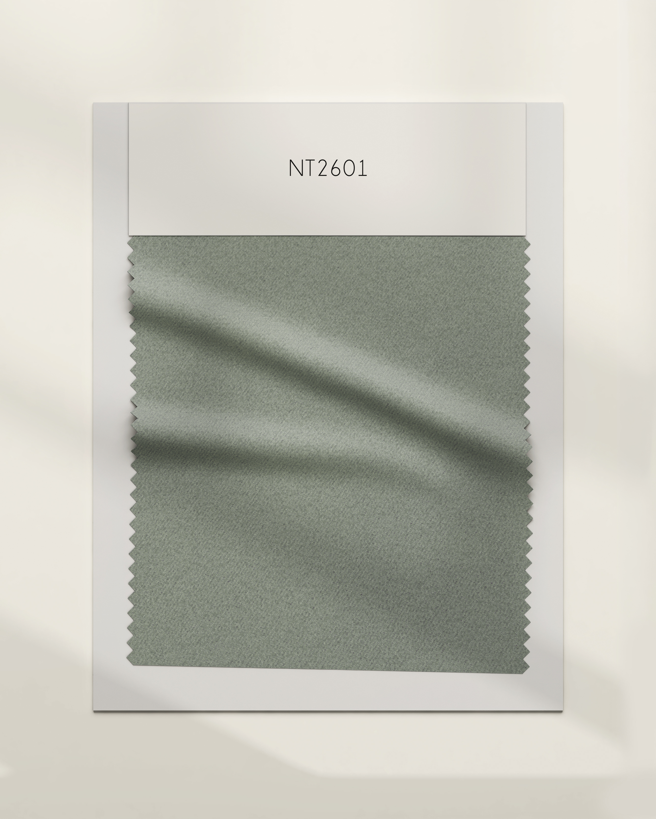 NT2601