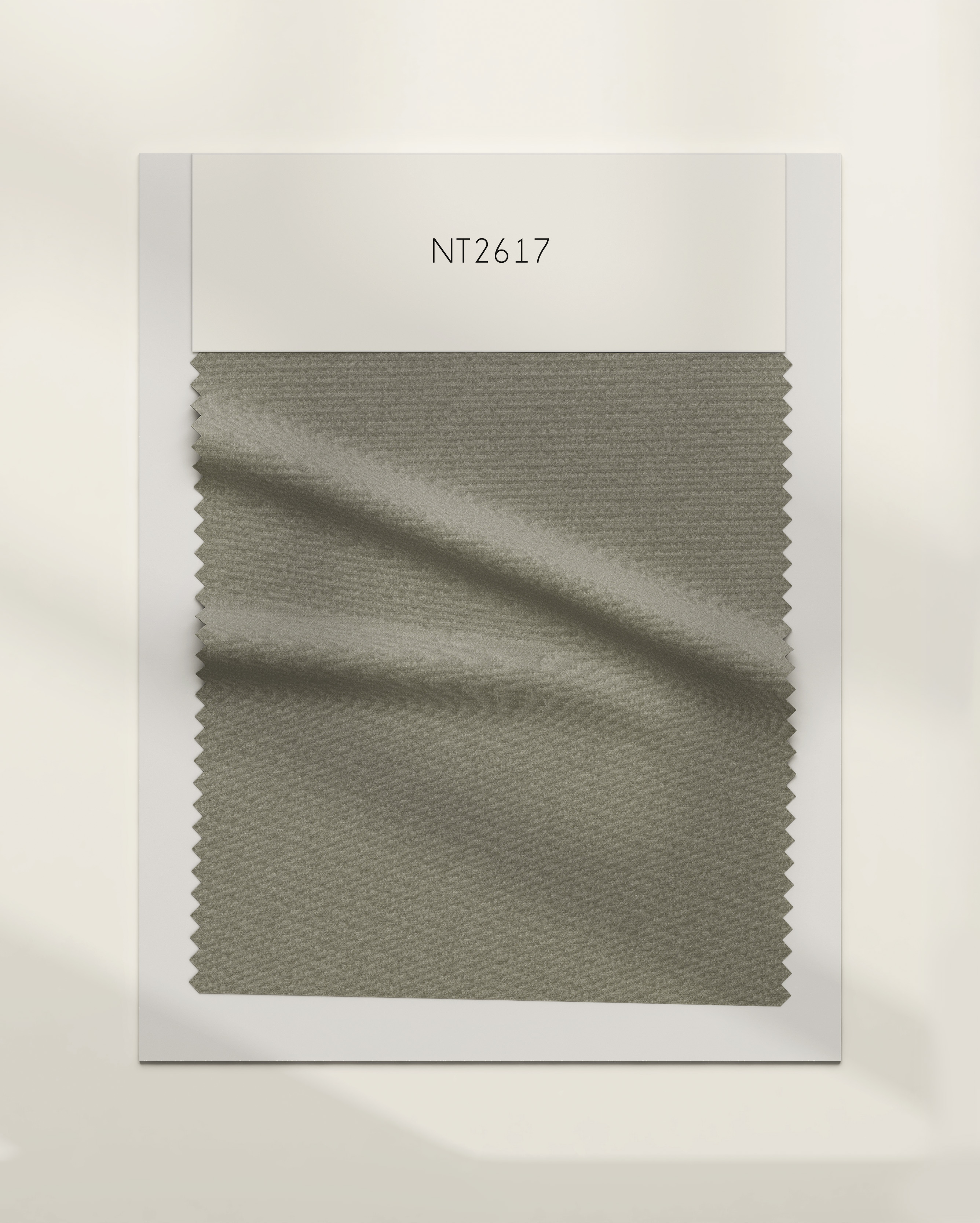 NT2617