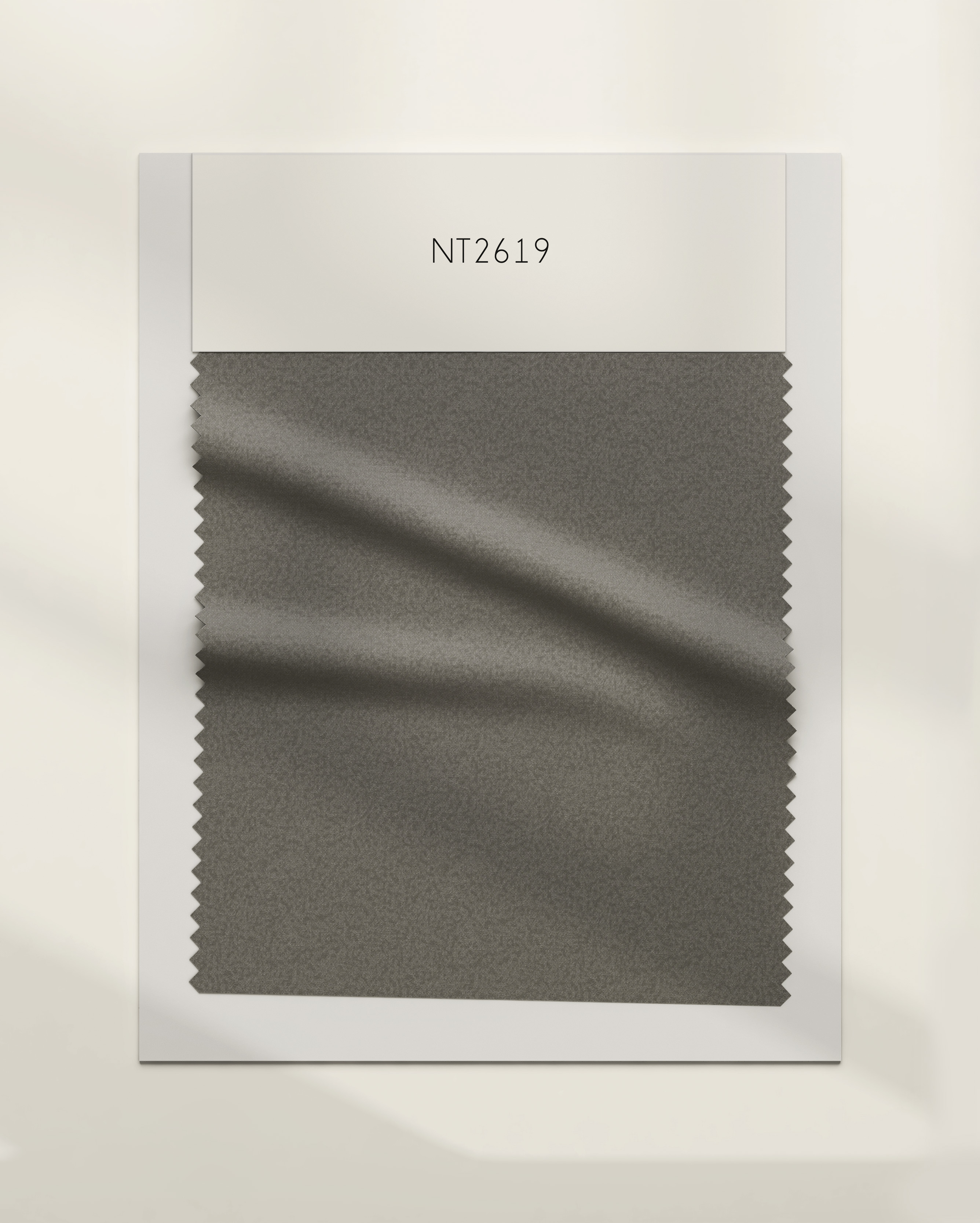 NT2619