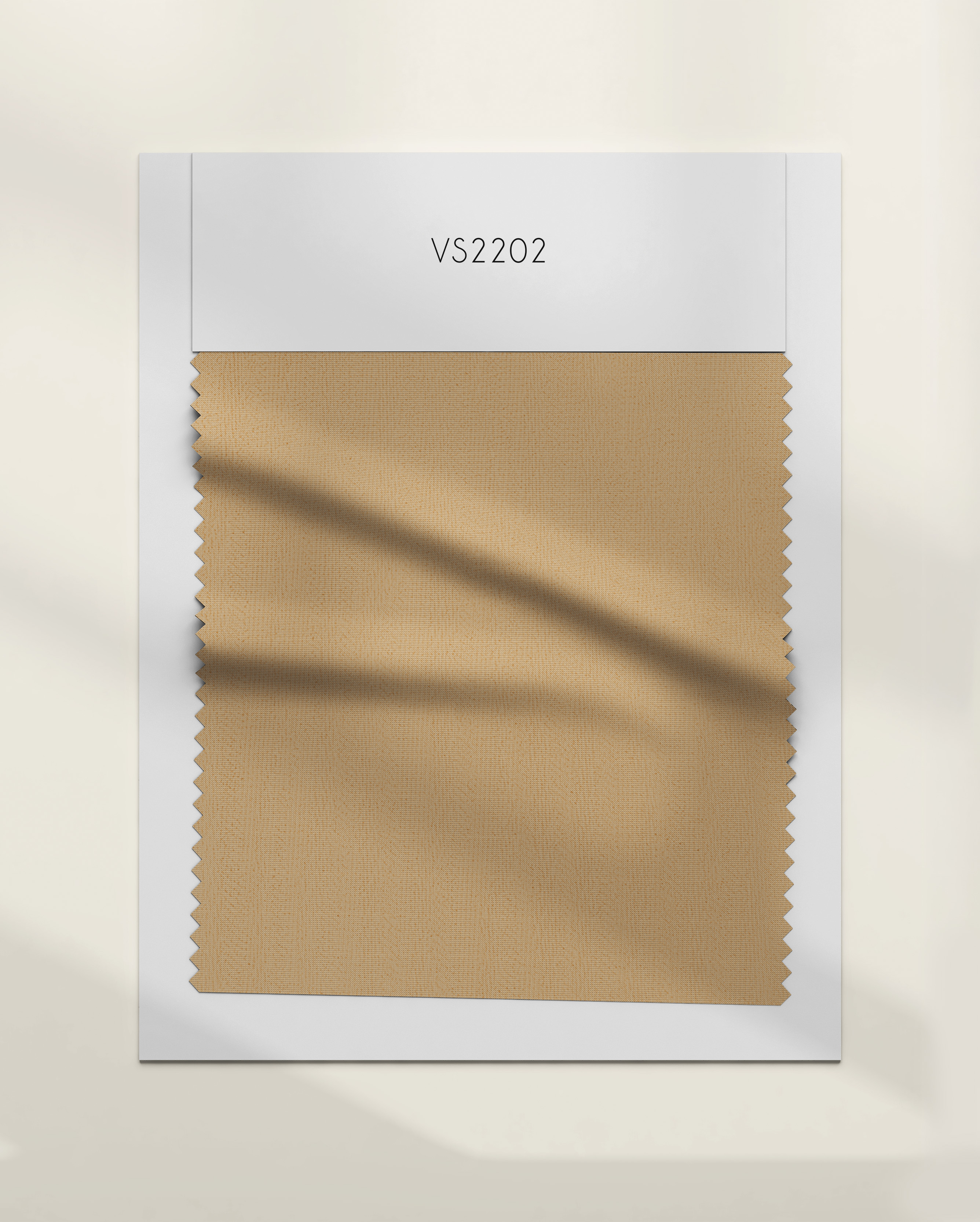 VS2202