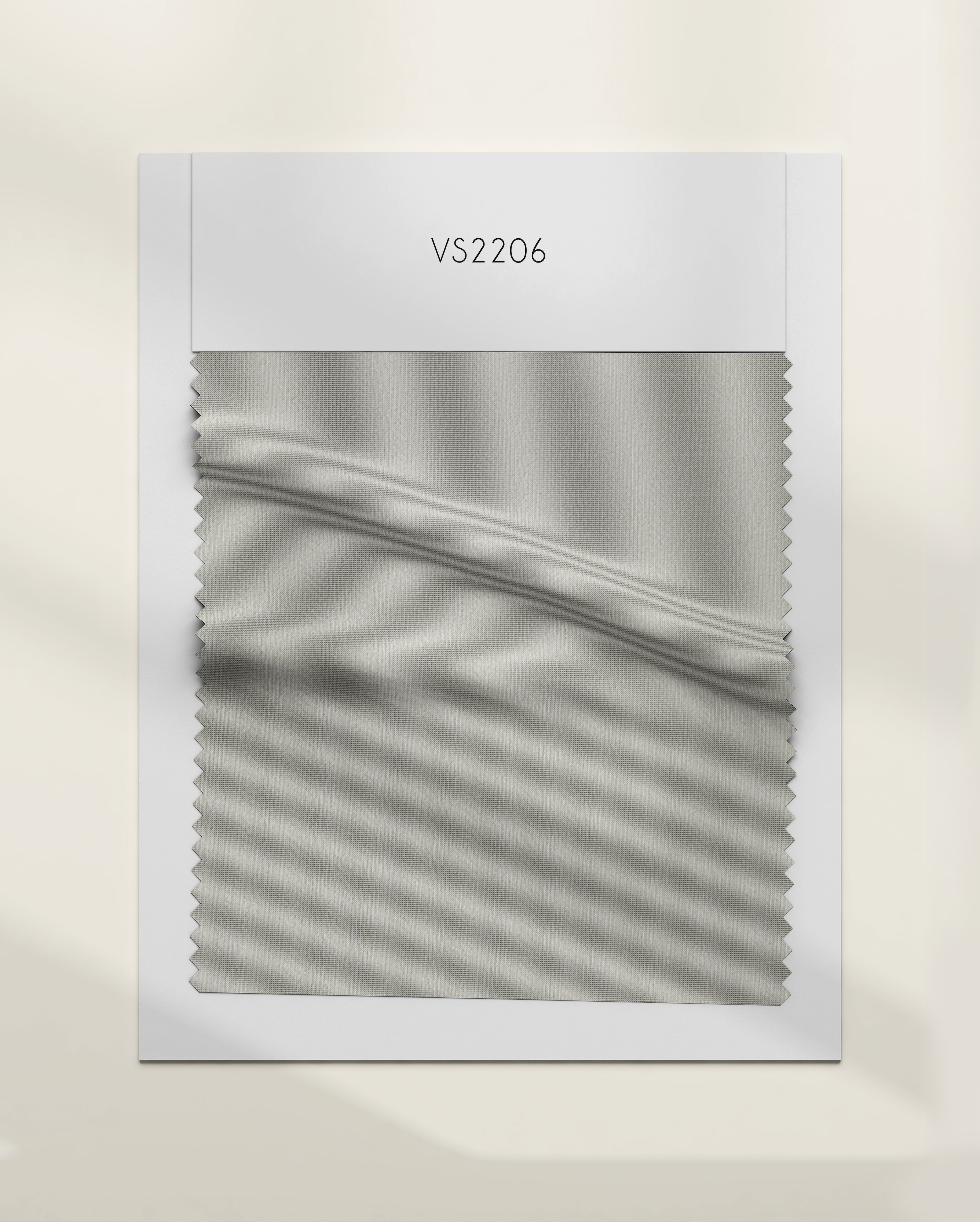 VS2206
