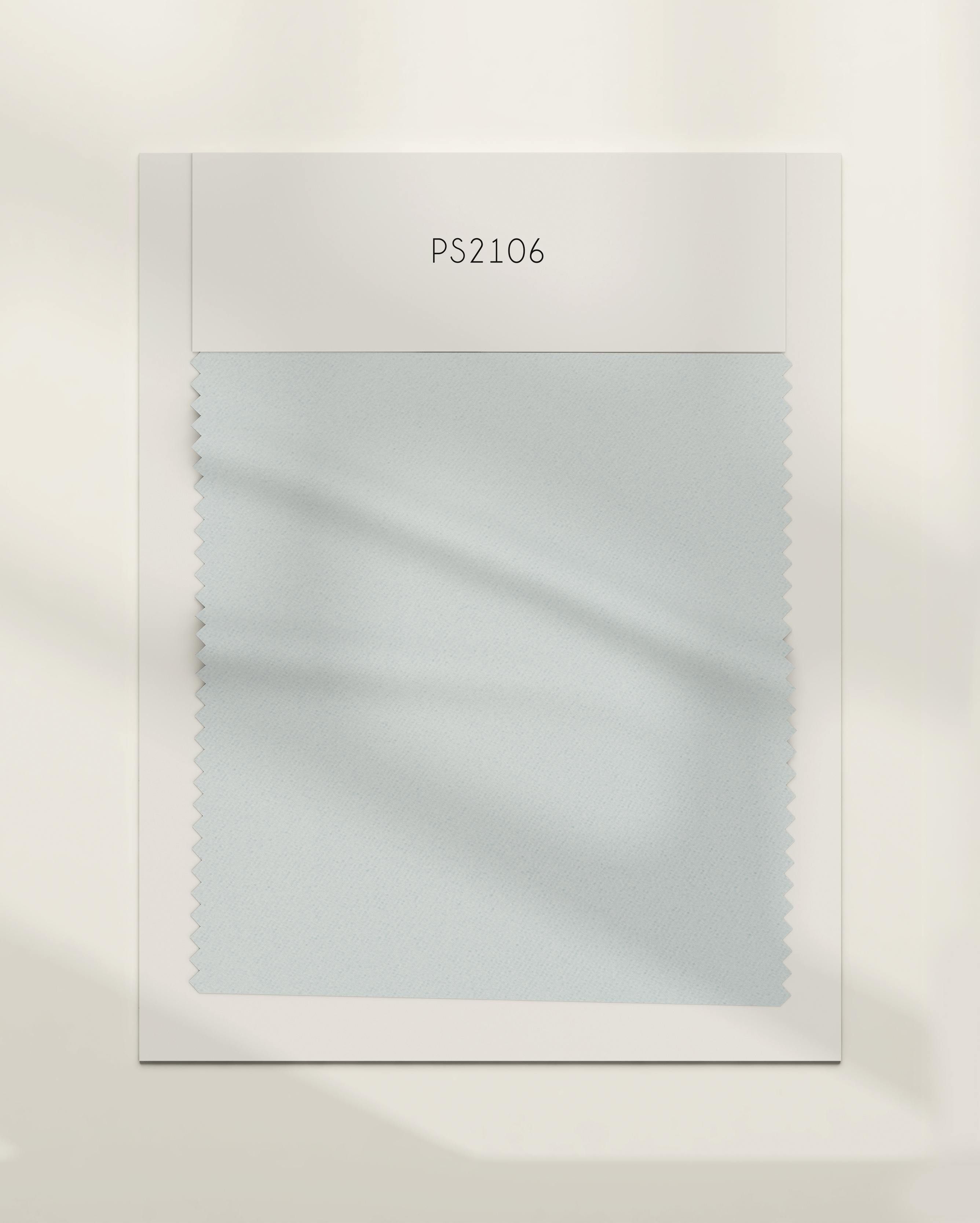 PS2106
