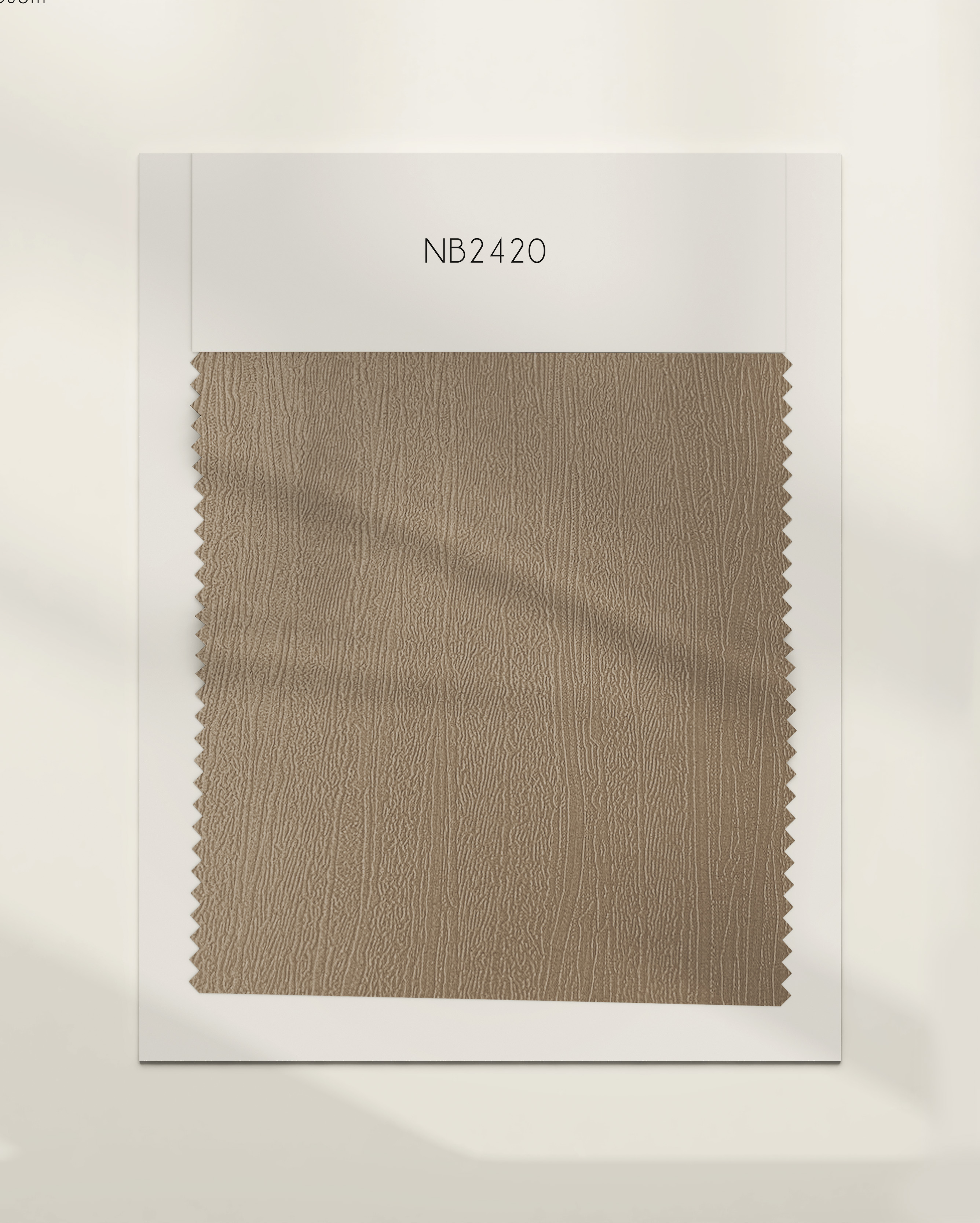 NB2420