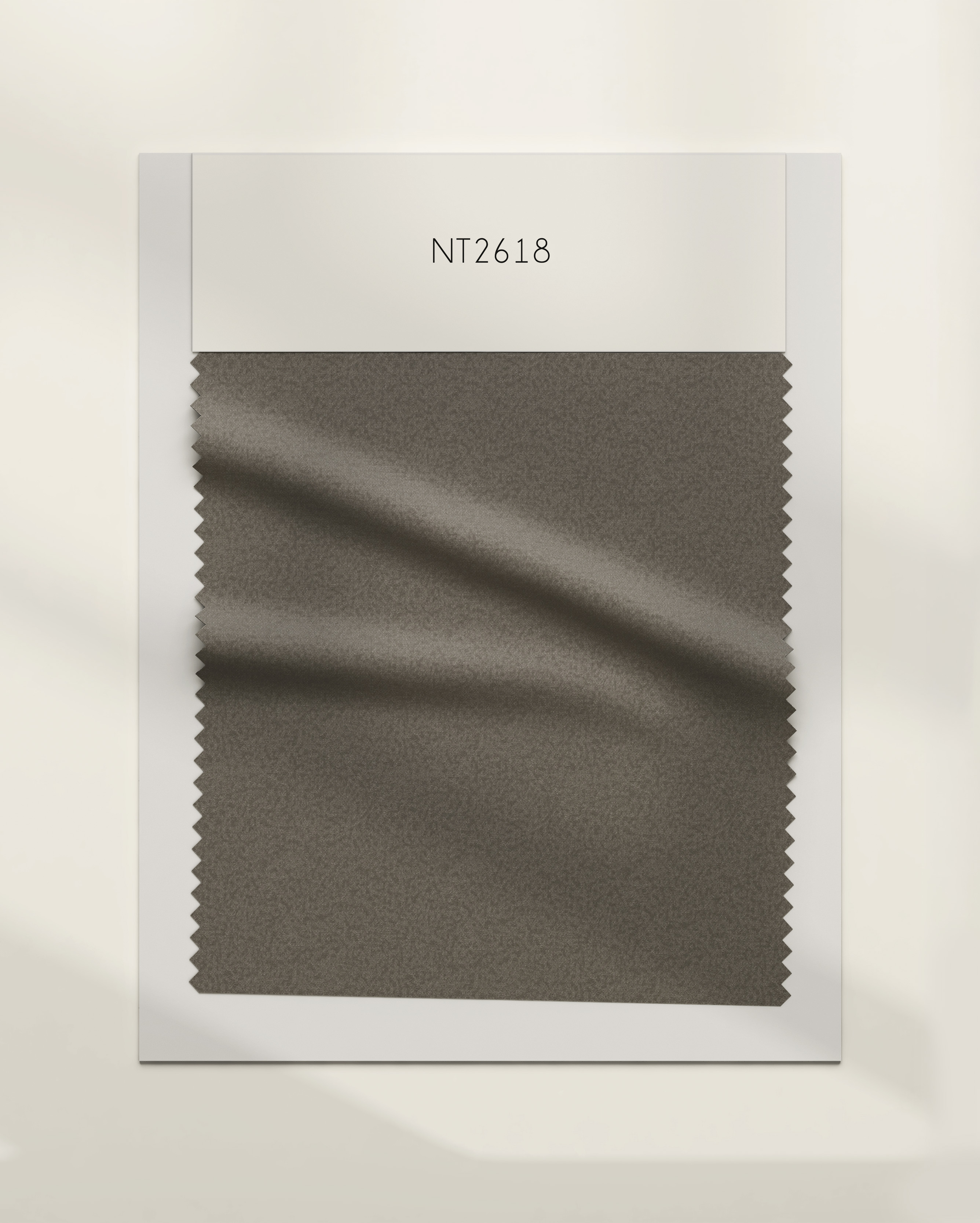 NT2618