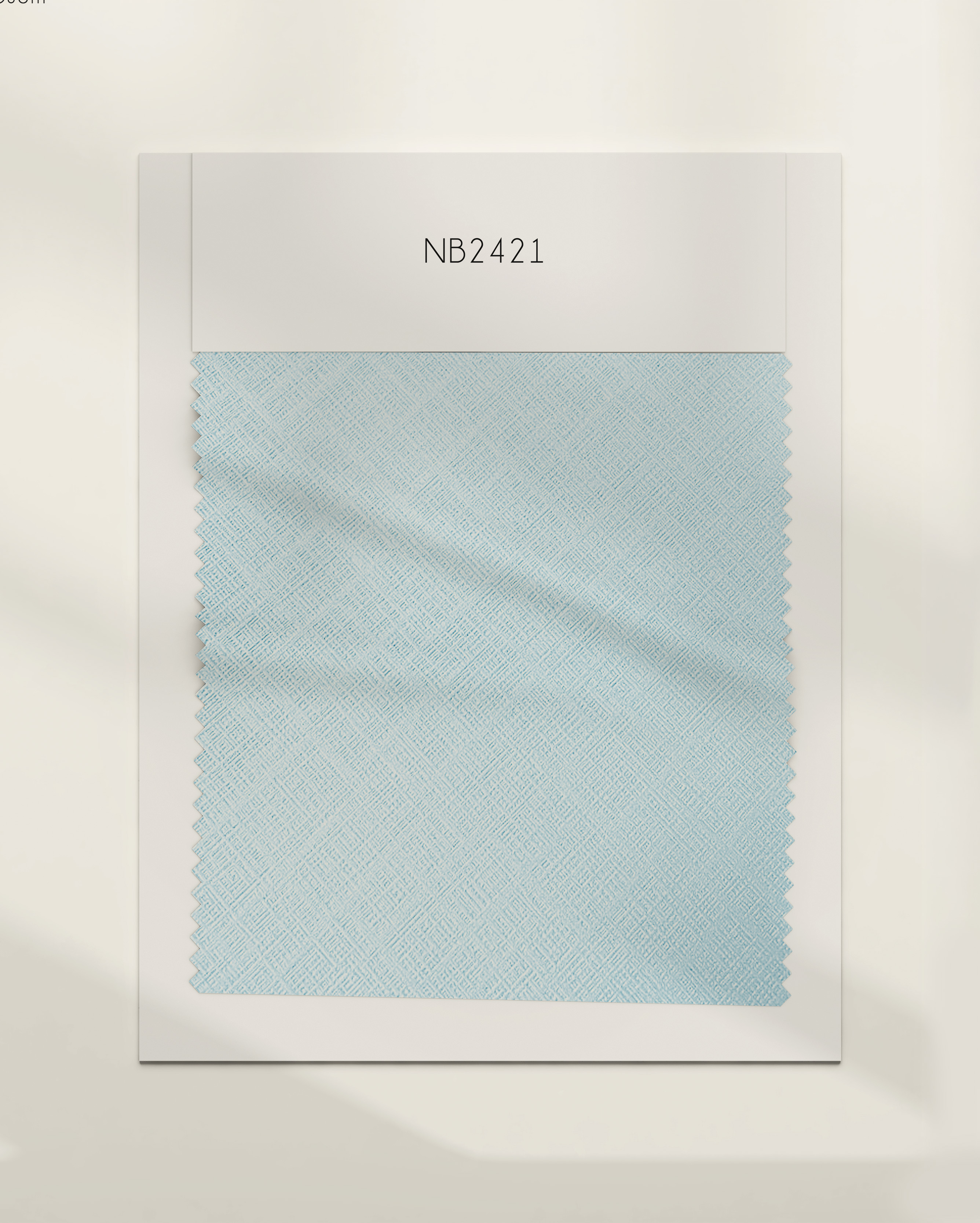 NB2421