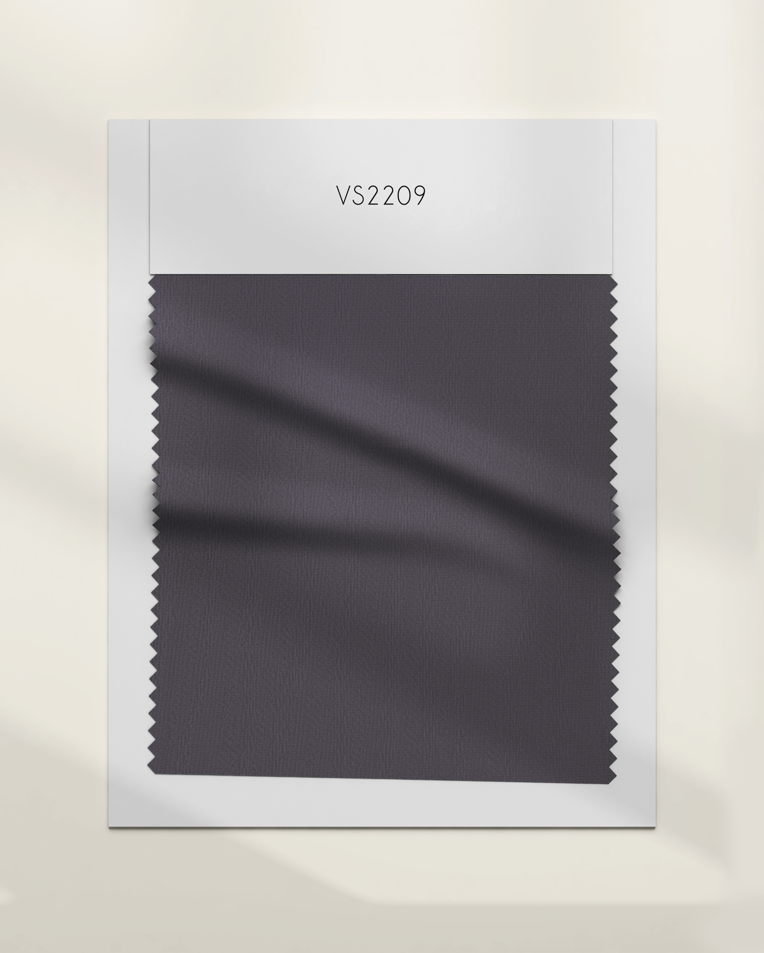 VS2209