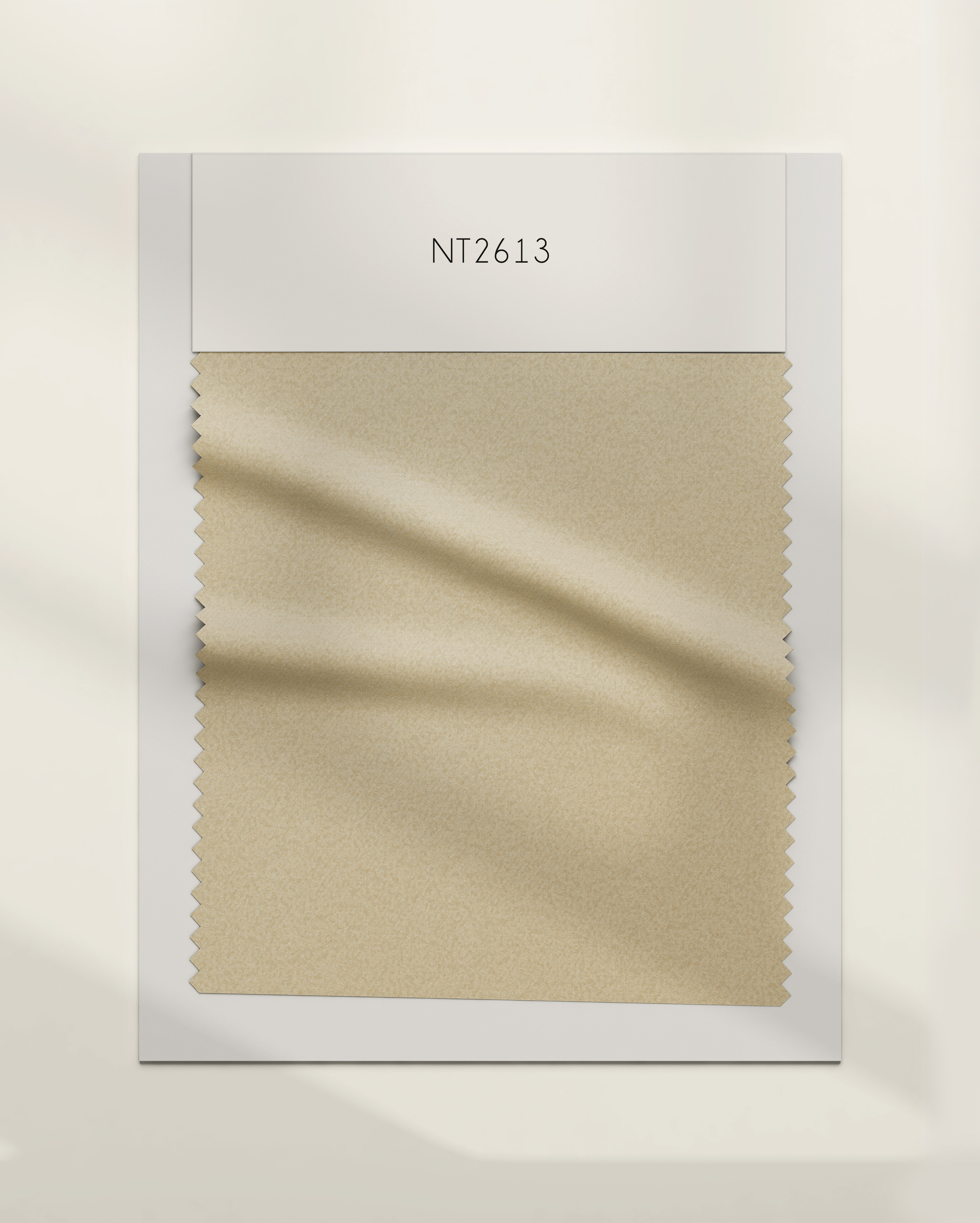 NT2613